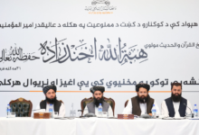 Photo of Poppy ban helps strengthen Afghanistan’s international reputation: official