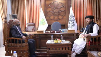 Photo of Afghanistan, Turkey discuss expanding agricultural cooperation