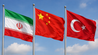 Photo of Iran, China and Turkey rank as IEA’s top three diplomatic partners since 2021