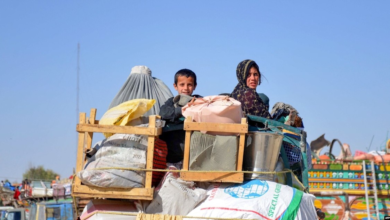 تصویر بازگشت بیش از یکهزار و ۵۰۰ مهاجر افغان به کشور در یک روز