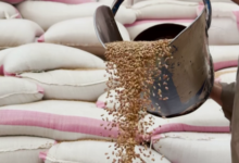 Photo of 50 Flour Mills Operating in Balkh, Employing More Than 5,000 People