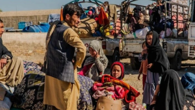 تصویر سازمان بینالمللی مهاجرت: بیش از ۳۹۳ هزار بازگشتکننده در افغانستان کمک دریافت کردهاند
