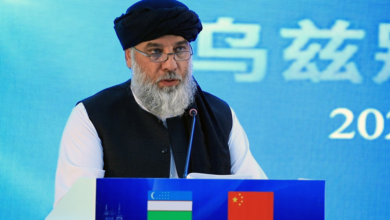 Photo of Azizi: Afghanistan ready to attract Chinese and Uzbek investment