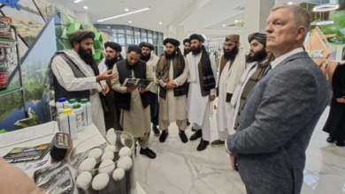 Photo of Afghan delegation visits major production factories in Belarus