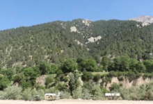Photo of Community Councils Established to Protect Forests in Nuristan