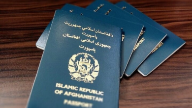 Photo of Afghanistan issues more than 650,000 passports in one year