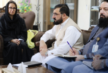 تصویر طرح سازمان ملل برای ایجاد کمپ و فابریکه قالین‌بافی برای مهاجران بازگشت‌کننده