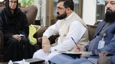 تصویر طرح سازمان ملل برای ایجاد کمپ و فابریکه قالین‌بافی برای مهاجران بازگشت‌کننده