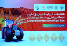 Photo of Kabul to Host Afghanistan’s First Int’l Agriculture, Livestock Exhibition