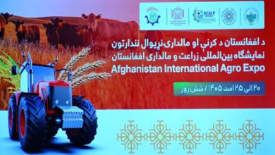 Photo of Kabul to Host Afghanistan’s First Int’l Agriculture, Livestock Exhibition