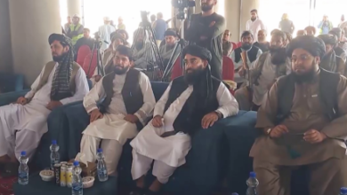 Photo of Mujahid: Foreign-Funded Projects Served Foreign Interests