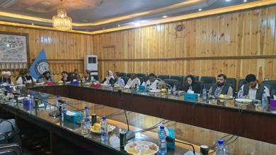 تصویر والی هلمند و یوناما درباره امنیت، توسعه و معیشت بدیل کوکنار گفتوگو کردند