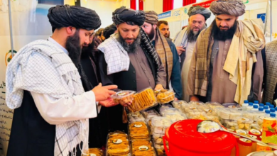 تصویر دومین نمایشگاه ملی بندامیر در بامیان افتتاح شد