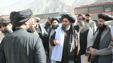 تصویر معاون اقتصادی ریاستالوزرا از روند کار شاهراه سالنگها دیدن کرد