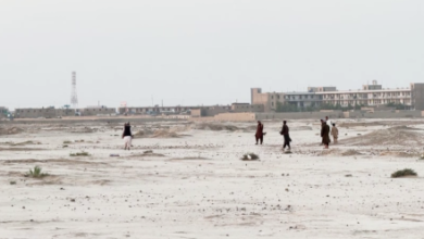 Photo of Water Shortage Hinders Development of Parks in Nimroz