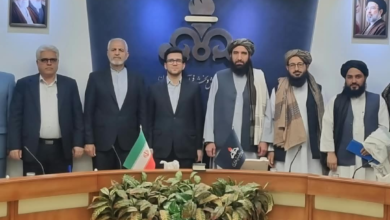 تصویر دیدار رئیس عمومی شرکتهای امارتی با معاون وزیر نفت ایران