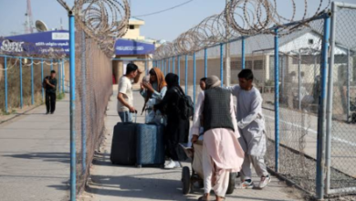 Photo of Returnees in Farah Seek Support to Build Homes
