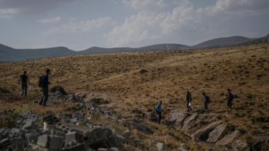 Photo of At least 17 Afghan migrants reportedly die of thirst near Iran border