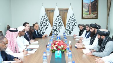 تصویر امیرخان متقی با معاون سازمان همکاری اسلامی درباره گسترش روابط گفت‌وگو کرد