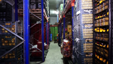 Photo of Shortage of Standard Cold Storage Facilities Challenges Fruit Growers