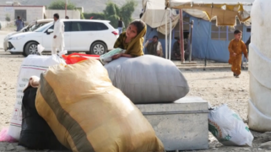 Photo of Afghan Refugees Complain of Growing Restrictions in Khyber Pakhtunkhwa