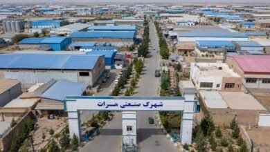 تصویر افزایش ۹۷ درصدی صادرات تولیدات صنعتی هرات به کشورهای خارجی