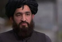 تصویر بلخی: ۱۱۱۹ غیرنظامی افغان در حملات پاکستان کشته و زخمی شده‌اند