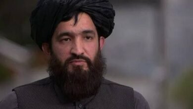 تصویر بلخی: ۱۱۱۹ غیرنظامی افغان در حملات پاکستان کشته و زخمی شدهاند