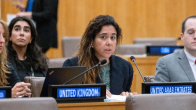 Photo of Senior UAE diplomat Lana Nusseibeh enters race for UN chief