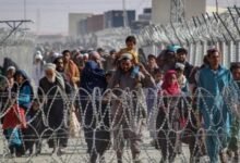 Photo of UN: 517 Afghan Migrants Arrested in Pakistan in One Week