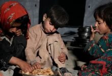 Photo of UN warns 19.2 million Afghans could face acute food insecurity this winter