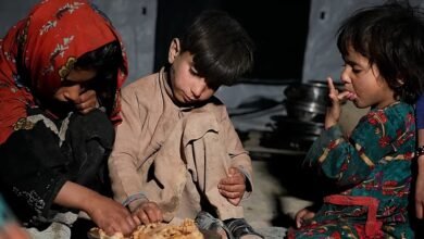 Photo of UN warns 19.2 million Afghans could face acute food insecurity this winter