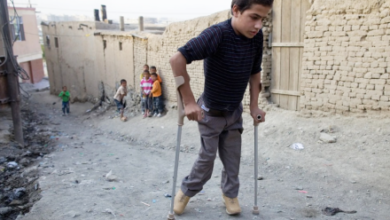 Photo of WHO Reports Six New Polio Cases in Afghanistan, Raising 2026 Total to 42