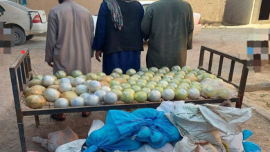 تصویر کشف و ضبط ۴۶۹ کیلوگرام تریاک و مقداری شیشه در فراه و فاریاب