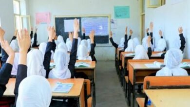 Photo of EU Calls for Unconditional End to Girls’ Education Ban in Afghanistan