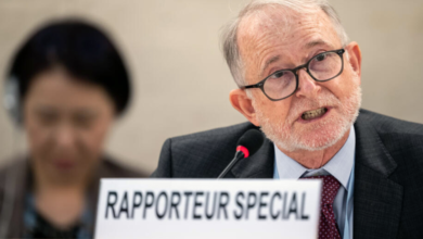 Photo of UN rights envoy urges ICC to probe alleged Pakistani war crimes in Afghanistan