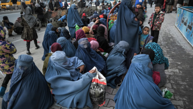 Photo of Afghanistan’s hunger crisis deepens as 16 million face food insecurity ahead of winter